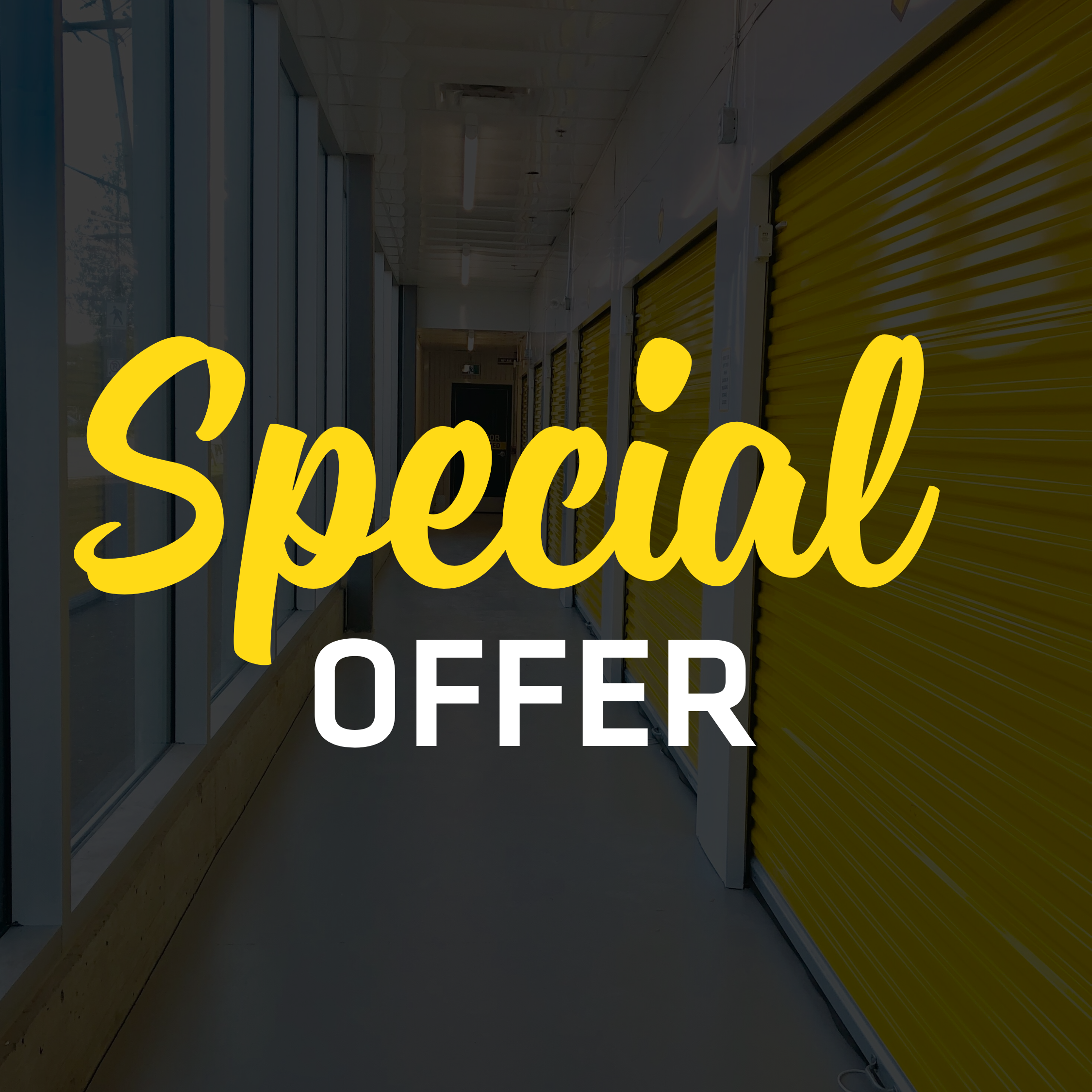 Special Offer